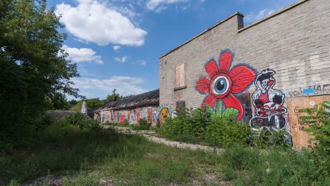 August 2025 - DSC04970.jpg