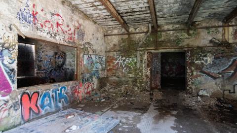 August 2025 - DSC04992.jpg