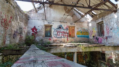 August 2025 - DSC05002.jpg