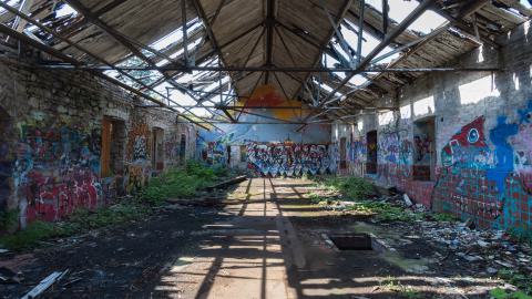 August 2025 - DSC05000.jpg