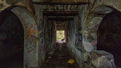 August 2025 - DSC05025.jpg