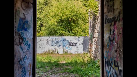 August 2025 - DSC05030.jpg