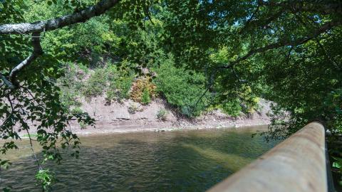 August 2025 - DSC05041.jpg