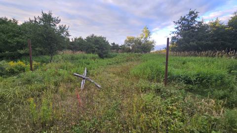 He Bought a Crooked barn Cat that Caught a Crooked Mouse - 20250820_193555.jpg