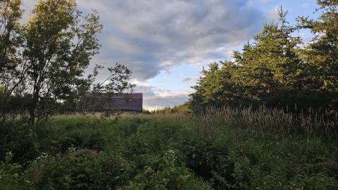 He Bought a Crooked barn Cat that Caught a Crooked Mouse - 20250820_193616.jpg