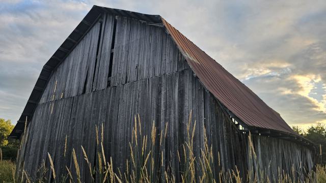 He Bought a Crooked barn Cat that Caught a Crooked Mouse - 20250820_193712.jpg