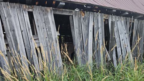 He Bought a Crooked barn Cat that Caught a Crooked Mouse - 20250820_193725.jpg