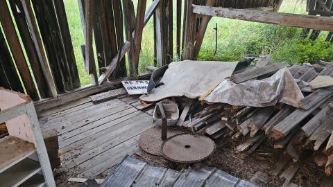 He Bought a Crooked barn Cat that Caught a Crooked Mouse - 20250820_193814.jpg