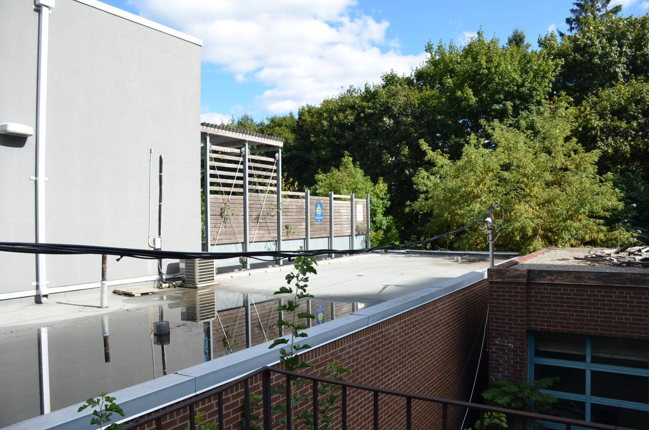 Last house on Merton street - DSC_0502.JPG