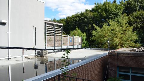 Last house on Merton street - DSC_0502.JPG