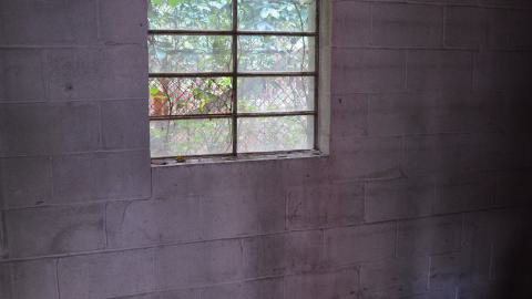 Last house on Merton street - DSC_0518.JPG