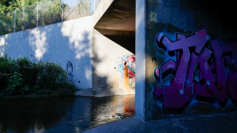 Babys first drain explore - 1000047507.jpg