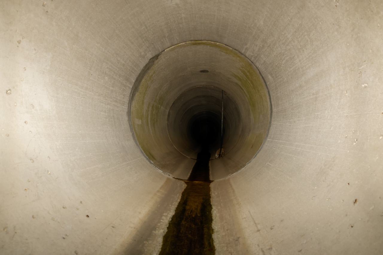Babys first drain explore - 1000047501.jpg