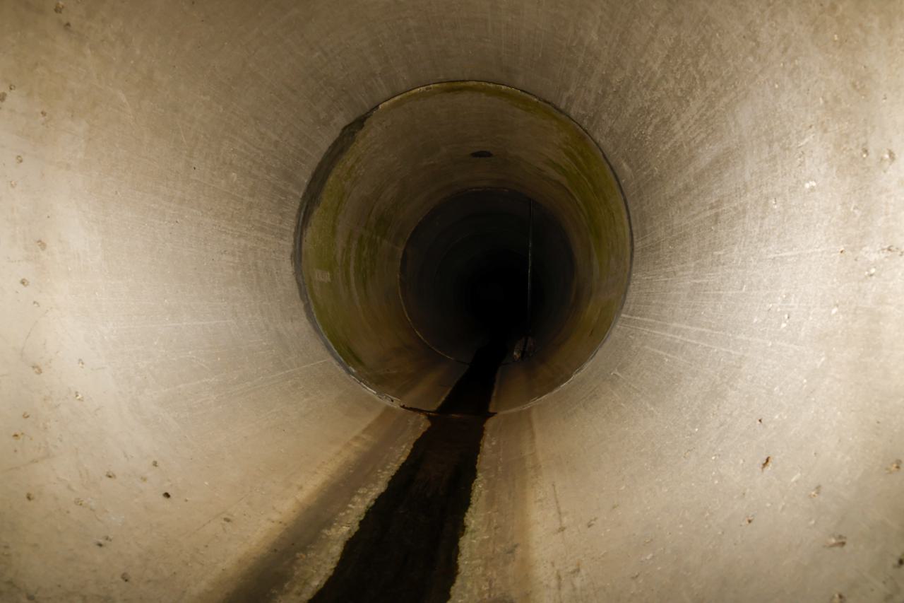 Babys first drain explore - 1000047502.jpg