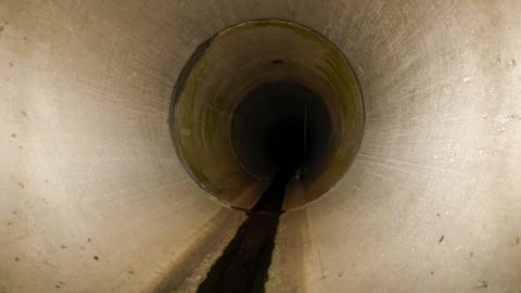 Babys first drain explore - 1000047502.jpg