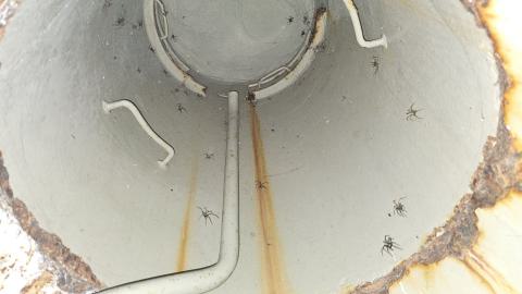 Skåne Defense Line photo 2