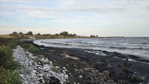 Inga tyskar tillåtna - 20250901_184310(0).jpg