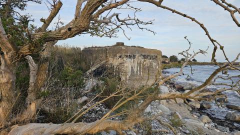 Inga tyskar tillåtna - 20250901_184502.jpg