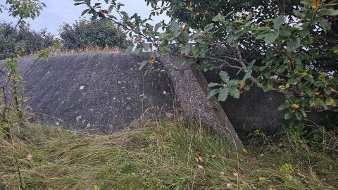 Inga tyskar tillåtna - 20250901_194225.jpg