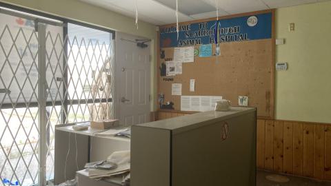 Photo from I Knew You Were Trouble