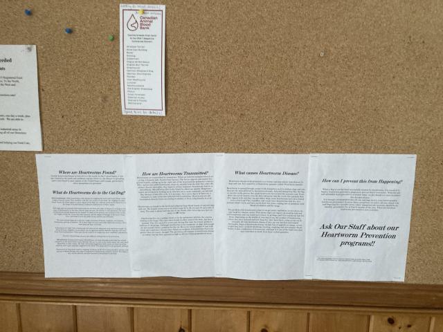 Scarborough Animal Hospital photo 4