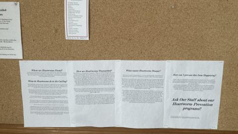 Photo from I Knew You Were Trouble