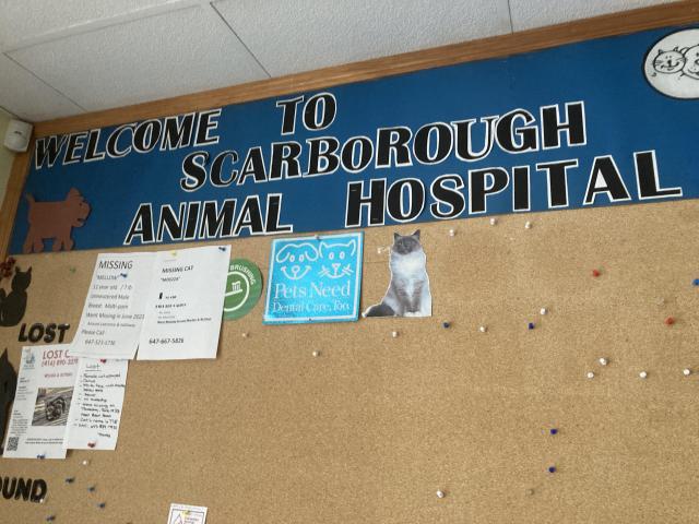 Scarborough Animal Hospital photo 3