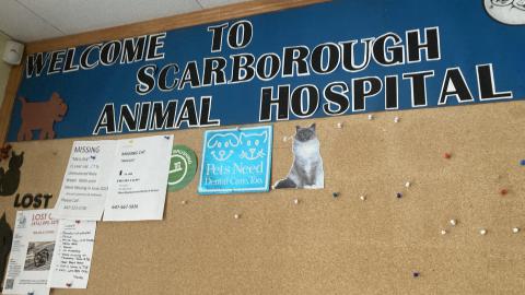 Photo from I Knew You Were Trouble