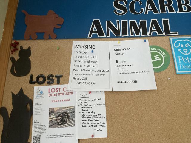 Scarborough Animal Hospital photo 5