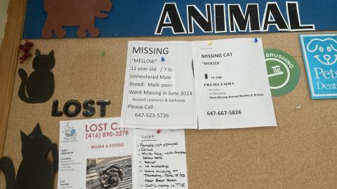 I Knew You Were Trouble - IMG_2798.jpg