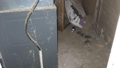 I Knew You Were Trouble - IMG_2820.jpg