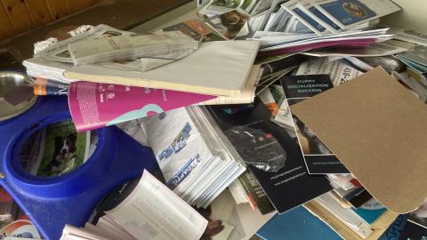 I Knew You Were Trouble - IMG_2801.jpg