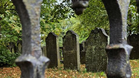Old Burying Ground - Halifax NS - 20250906_091000straight crop.jpg