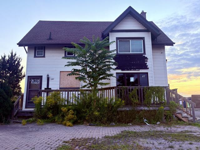 September 12, 2025 - IMG_5477.JPEG