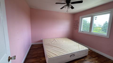 Built in 83 - IMG_3542.jpeg