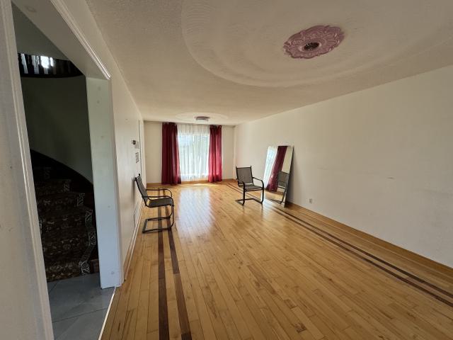 Abandoned mansion photo 5