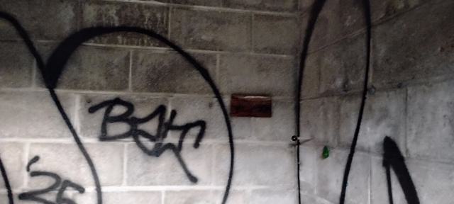 Odd shed - 1000003921.jpg