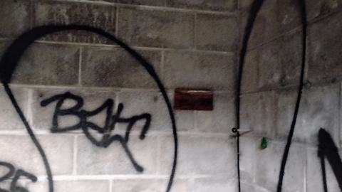 Odd shed - 1000003921.jpg