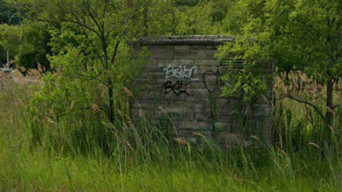 Odd shed - 1000003973.png