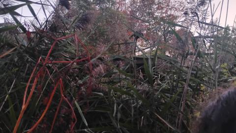 Photo from Locked up