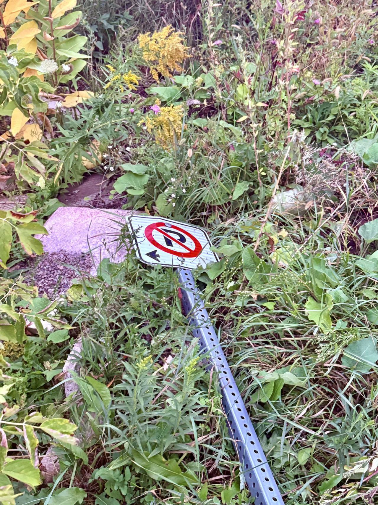 September 25, 2025 - IMG_6324.JPEG