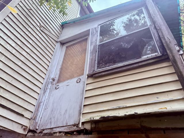 September 25, 2025 - IMG_6321.JPEG