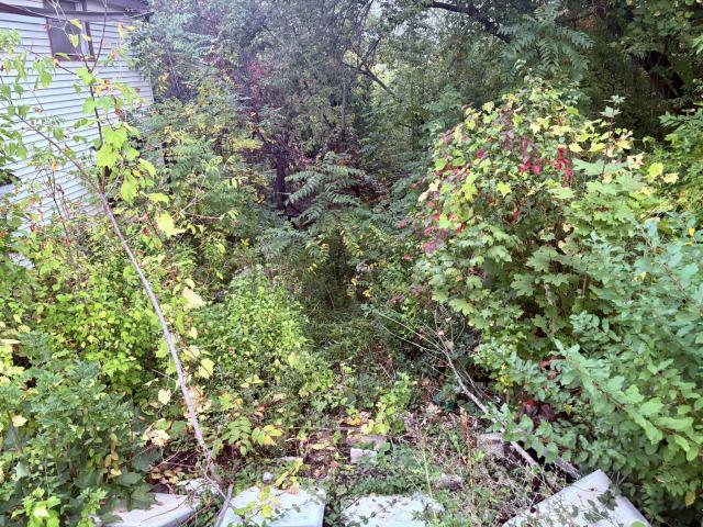 September 25, 2025 - IMG_6316.JPEG