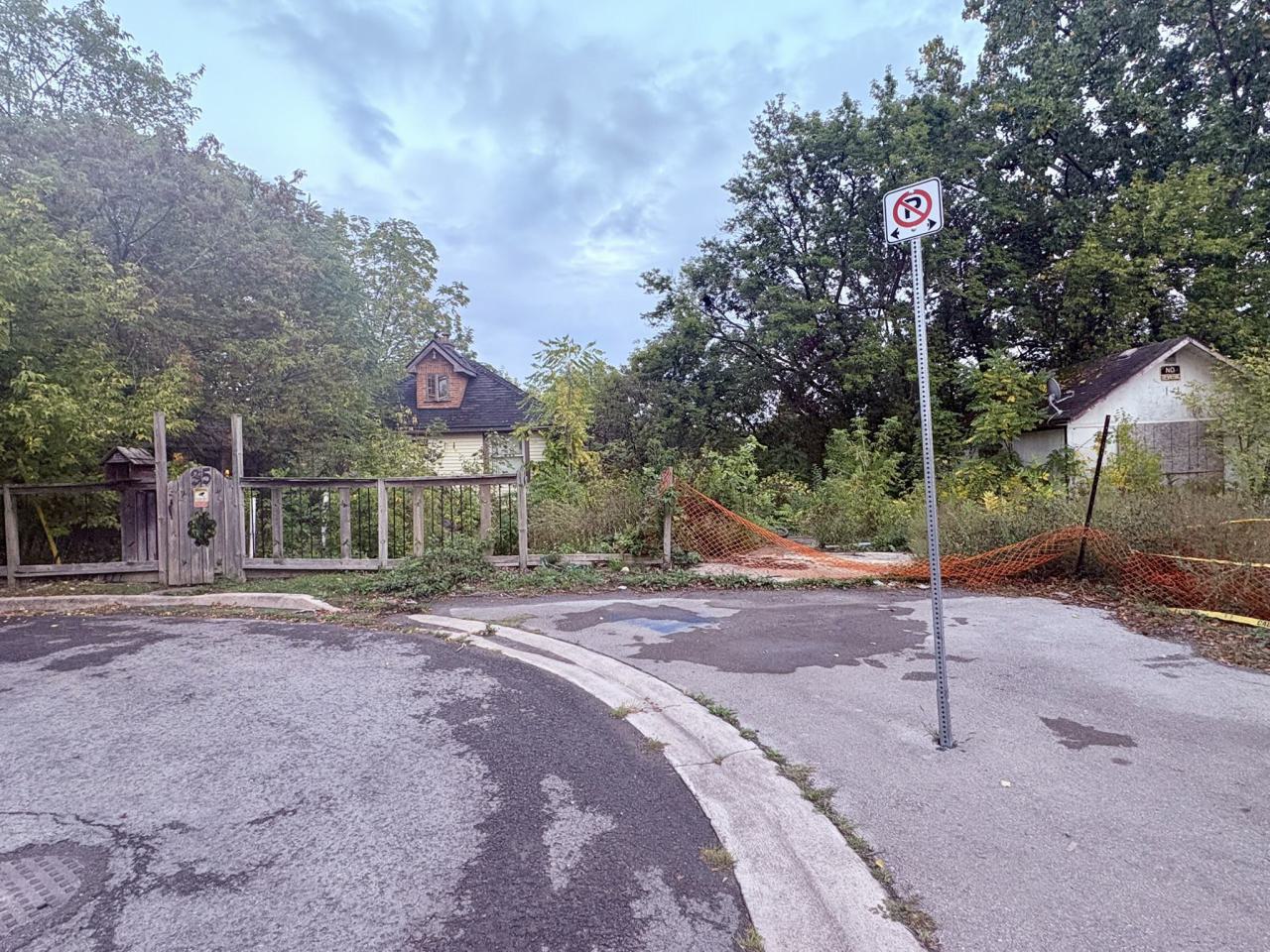 September 25, 2025 - IMG_6313.JPEG