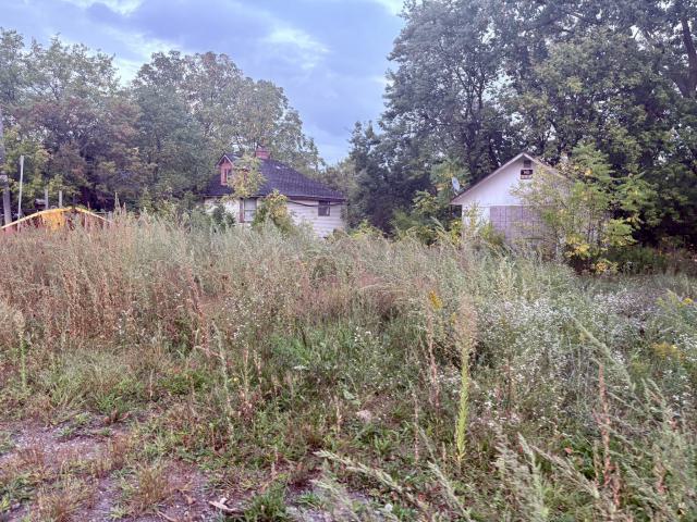 September 25, 2025 - IMG_6312.JPEG