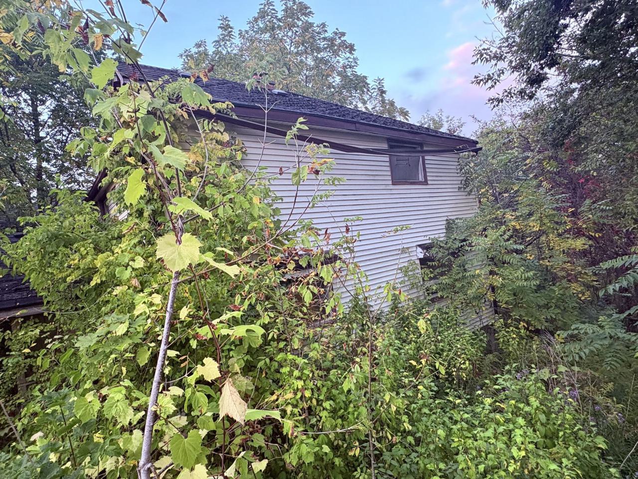 September 25, 2025 - IMG_6308.JPEG