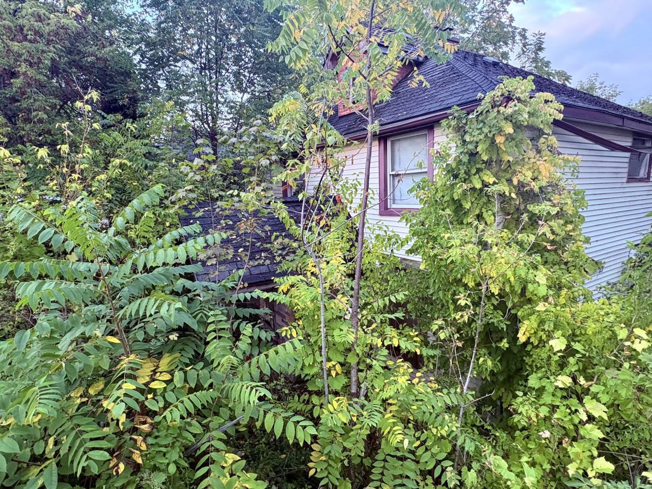 September 25, 2025 - IMG_6307.JPEG