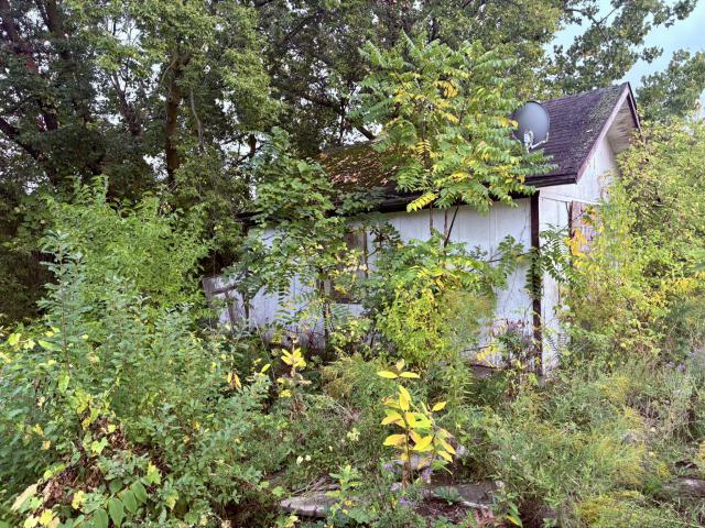 September 25, 2025 - IMG_6306.JPEG