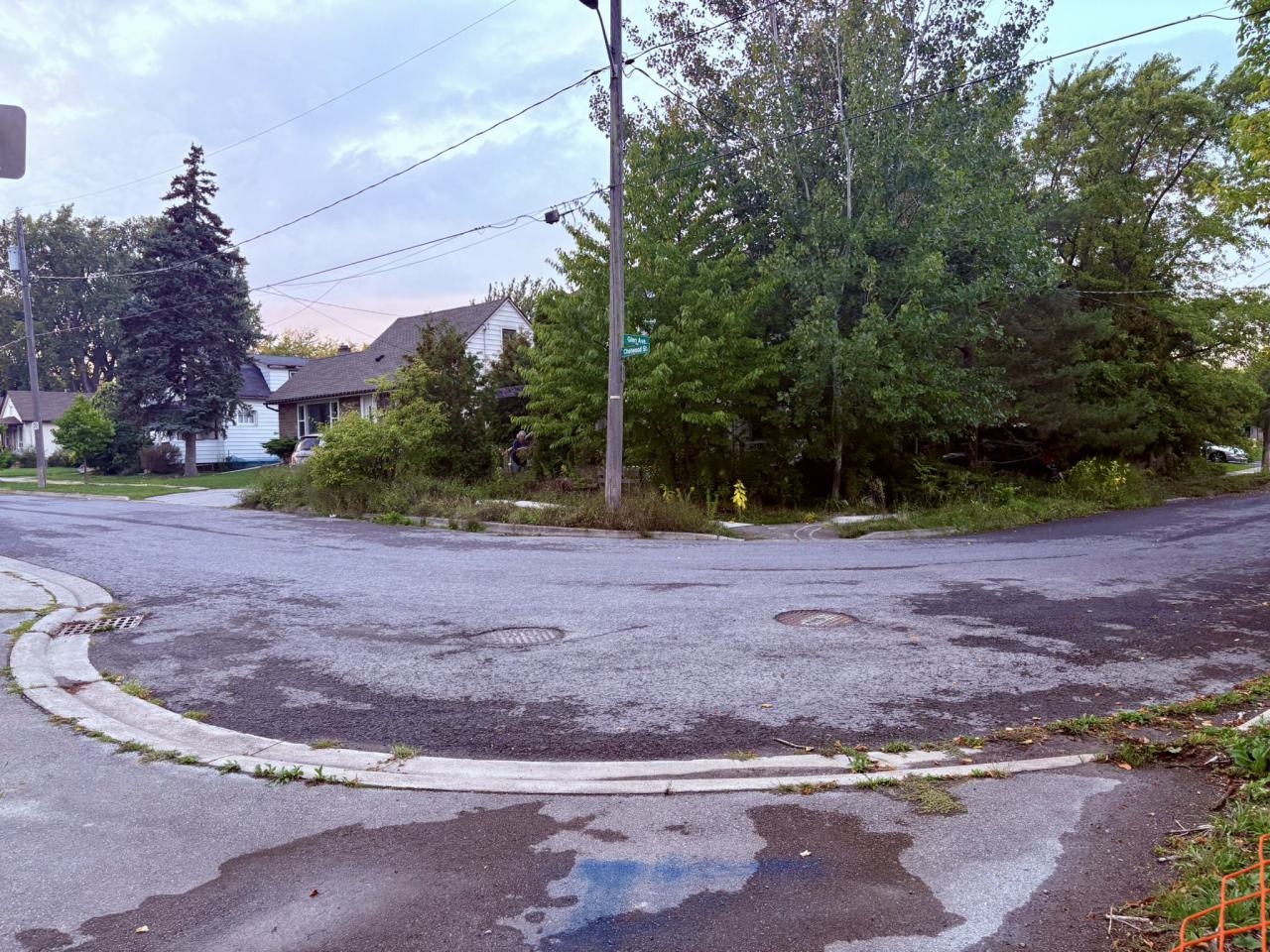 September 25, 2025 - IMG_6305.JPEG