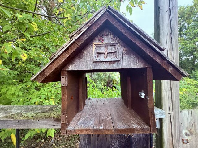 September 25, 2025 - IMG_6301.JPEG